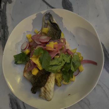 Little Whale - Greek Bronzino - Bars Near Me - Boston, Massachusetts Little Whale - Greek Bronzino - Bars Near Me - Boston, Massachusetts