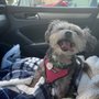 Photo of TLC Pet Hospital