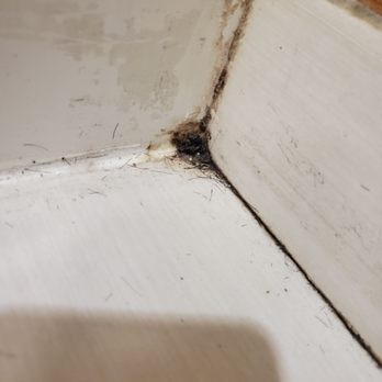 Fairfield by Marriott - Black mold on bathroom floor. - Hotels Near Me - Watervliet, Michigan