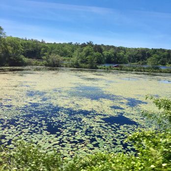 Cape Cod Central Railroad - Tours Near Me - Hyannis, Massachusetts