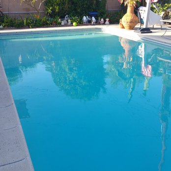 Mighty Blue Pools - Turned this pool from Green to Clean. - Pool & Hot Tub Service Near Me Mighty Blue Pools - Turned this pool from Green to Clean. - Pool & Hot Tub Service Near Me