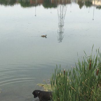 Centennial Park - Parks Near Me - Englewood, Colorado