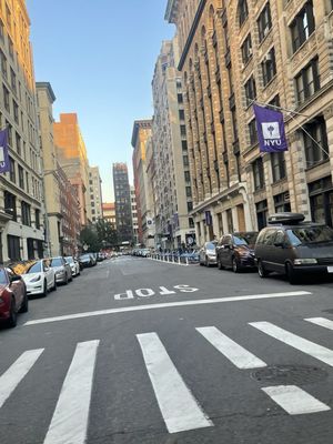 New York University by null