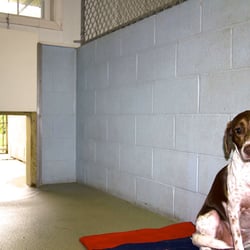 The Barking Dog - Hooksett - There is plenty of room in our spacious runs! You can choose exercise options like daycare, playtimes and swimming.