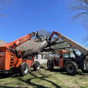 Reese Tree Service - Reese Tree Service 417-840-3093 - Tree Services Near Me - Marshfield, Missouri Reese Tree Service - Reese Tree Service 417-840-3093 - Tree Services Near Me - Marshfield, Missouri