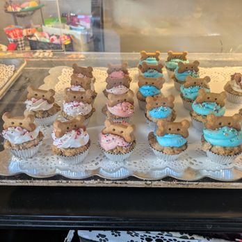 Paws and the Palette - Pet Stores Near Me - Sacramento, California
