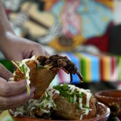 Tacos N Grill