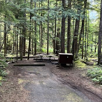 Newhalem Campground - A site at Newhalem Campground. - Hiking Near Me - Marblemount, Washington