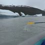 Photo of Chugach Adventures