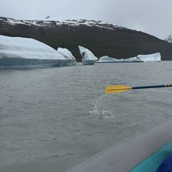 Chugach Adventures - More icebergs