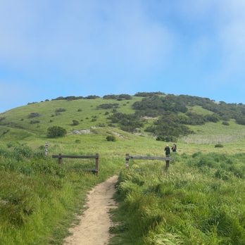 Windy Hill Open Space Preserve - Parks Near Me Windy Hill Open Space Preserve - Parks Near Me