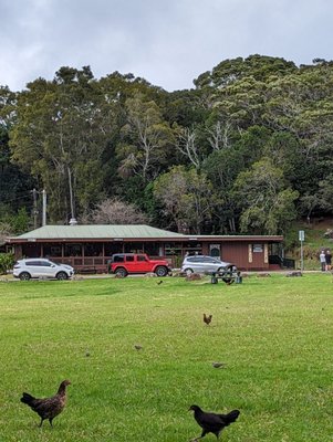 Kōkeʻe Lodge by null