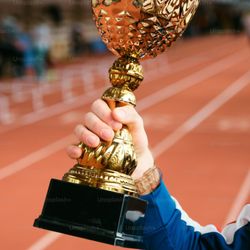 Wildcat Trophy - Beautiful, engravable sports trophies for all your team events.
