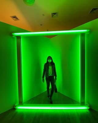 Dia Bridgehampton / The Dan Flavin Art Institute by null