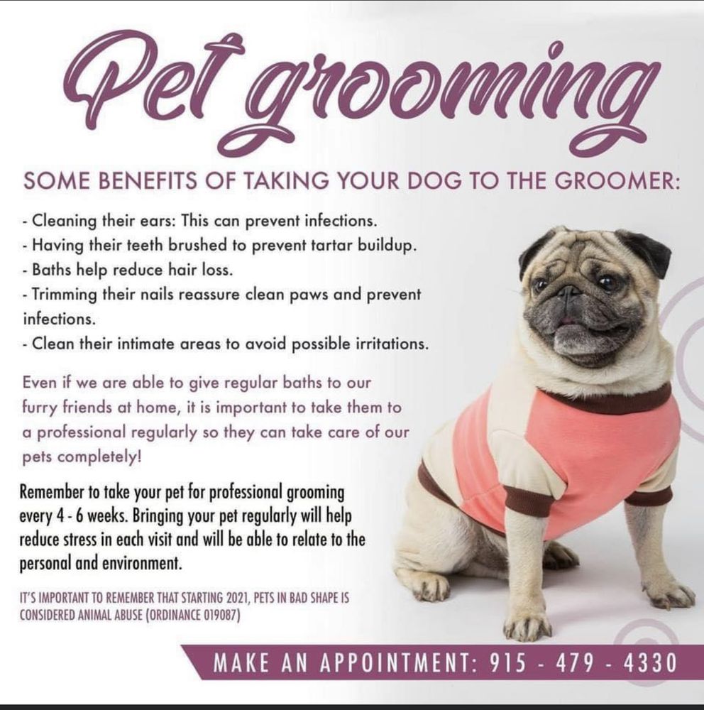 DOGS WITH STYLE Updated October 2024 2720 John Hayes, El Paso