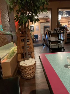 BLUE FIN JAPANESE RESTAURANT - Updated March 2025 - 152 Photos & 144