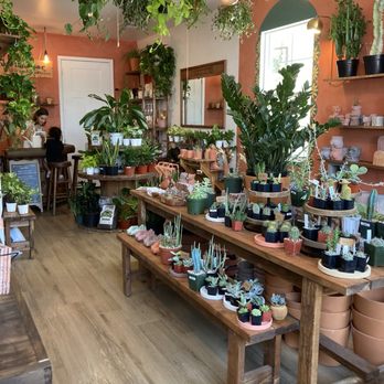 Maricopa Botanicals - Inside - Nurseries & Gardening Near Me - Tempe, Arizona