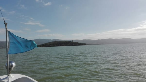 Isola Maggiore by null