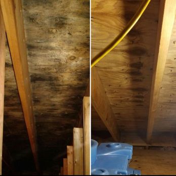 Aspen Environmental - Damage Restoration Near Me - Methuen, Massachusetts Aspen Environmental - Damage Restoration Near Me - Methuen, Massachusetts