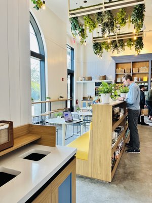 Alcove Market by null