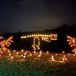 Jack O'Lantern World - Pumpkins
