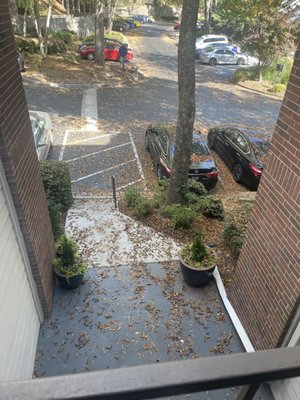 The Pointe at Lenox Park