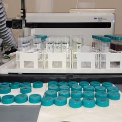 Arvum Plant Labs