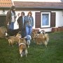 Photo of Shelties vom Stromberger Land