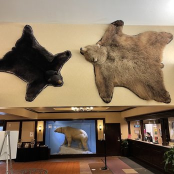 The Lakefront Anchorage - Hotels Near Me - Anchorage, Alaska