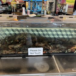 Big EZ Seafood & Oyster - Fresh Lobster