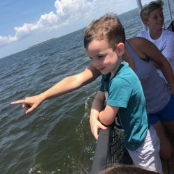 Harbor Star Dolphin Tours - Kids love seeing wild dolphins on the Harbor Star