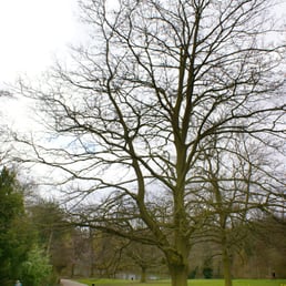 Waterlow Park, London Waterlow Park, London