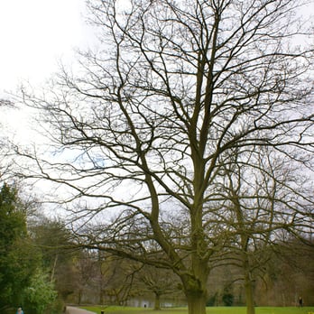 Waterlow Park - Waterlow Park, London - Parks Near Me - London, XGL Waterlow Park - Waterlow Park, London - Parks Near Me - London, XGL