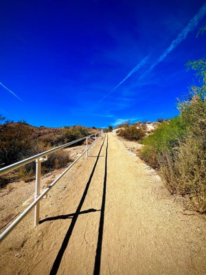 Cottonwood Spring by null