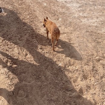 Wild West Horseback Adventures - Kada - Horseback Riding Near Me - Las Vegas, Nevada Wild West Horseback Adventures - Kada - Horseback Riding Near Me - Las Vegas, Nevada