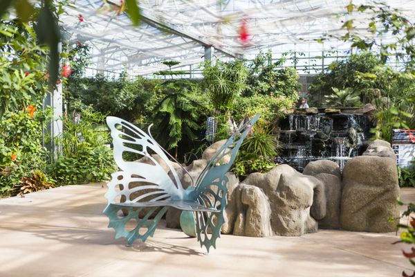 Butterfly Wonderland by null