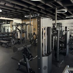 Bicep machine