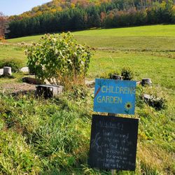 Merck Forest & Farmland Center