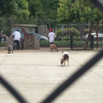 Kennedy Park - View from outside the gate - Parks Near Me - Hayward, California Kennedy Park - View from outside the gate - Parks Near Me - Hayward, California