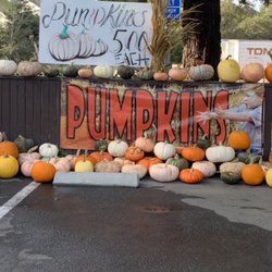 Tom & Pete's Produce