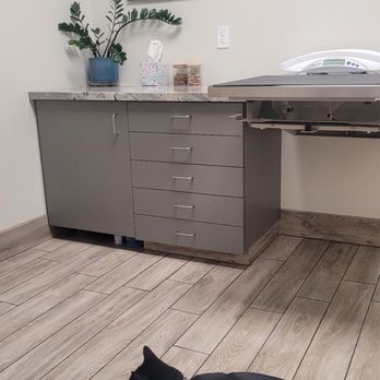 Hope Animal Foundation - Exam Room - Veterinarians Near Me - Fresno, California