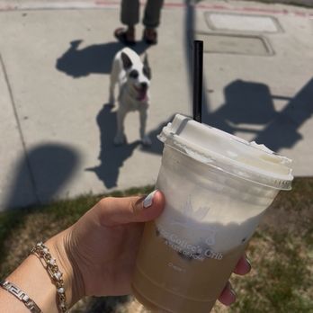 The Coffee's Crib - Even the dogs at the park, love all of the drinks! - Coffee & Tea Near Me - Woodland Hills, California The Coffee's Crib - Even the dogs at the park, love all of the drinks! - Coffee & Tea Near Me - Woodland Hills, California