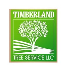 Eli Timberland Tree Service