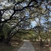 Leon Creek Greenway gift card