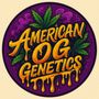 Photo of American OG