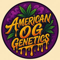 American OG