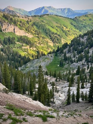 Alta Ski Area by null