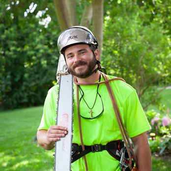 Careful Cuts Tree Service - Tree Services Near Me Careful Cuts Tree Service - Tree Services Near Me