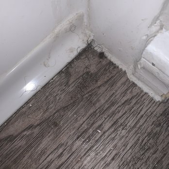 The Residence at Lake Jackson - Disgusting hair from past tenants that wasn't cleaned. - Apartments Near Me - Lake Jackson, Texas The Residence at Lake Jackson - Disgusting hair from past tenants that wasn't cleaned. - Apartments Near Me - Lake Jackson, Texas