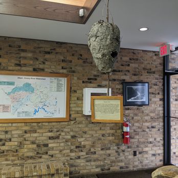 Obed Wild and Scenic River - Visitor center exhibit - wasp nest - Hiking Near Me - Wartburg, Tennessee Obed Wild and Scenic River - Visitor center exhibit - wasp nest - Hiking Near Me - Wartburg, Tennessee